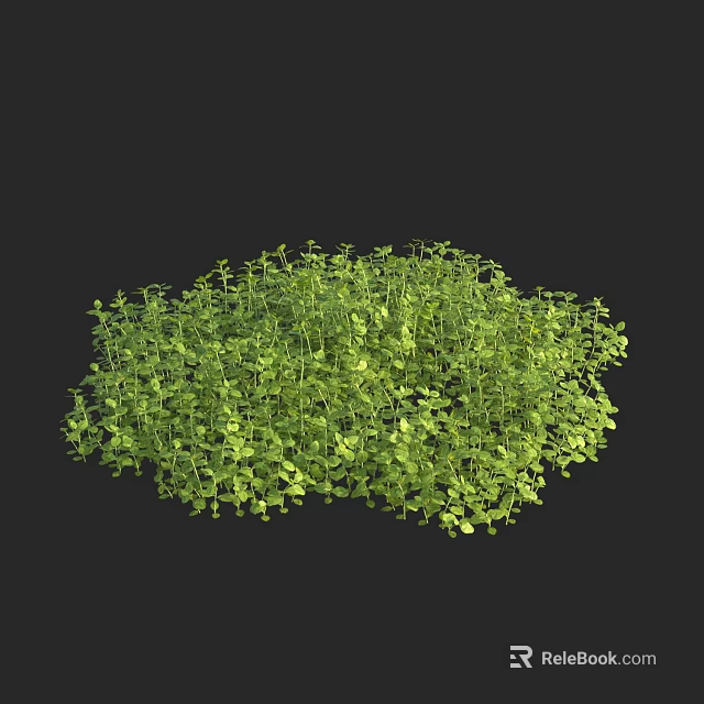 Fresh Green Aquatic Plants Growing in Lush Dense Vibrant Foliage Cluster 3d model 