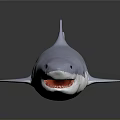 Realistic Gray Great White Shark Model Featuring Sharp Teeth On Black Reflective Background