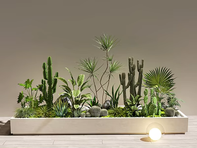 Indoor Landscape Design With Various Cacti Palm Leaves Rectangular Planter Wooden Floor And Small Lamp 3d model