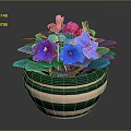 Potted Plant With Blue Purple And Pink Flowers Green Leaves In Striped Green Beige Pot