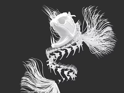 Artistic Aquatic Animal Skeleton Design With Long Fins And Abstract Structure On Black Background 3d model