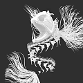 Artistic Aquatic Animal Skeleton Design With Long Fins And Abstract Structure On Black Background