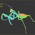 Vibrant Praying Mantis Sculpture With Green Head Red Antennae Detailed Legs And Translucent Wings