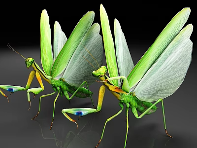 Two Vibrant Green Reptiles With Extended Wing Membranes And Detailed Body Patterns 3d model