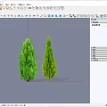 Two Tall Evergreen Arbors With Lush Green Foliage And Different Shapes On Gray Background