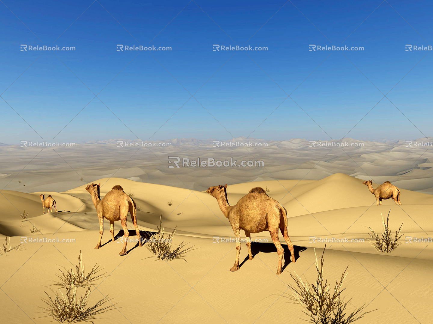 Modern Desert Camel 3d model