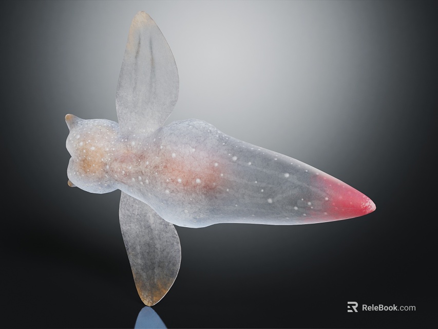 Unique Reptile With Transparent Body Wings Red Tip Speckled Texture On Dark Background 3d model 