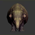 Brown Hippopotamus 3D Model With Textured Surface Standing On Dark Background And Reflection
