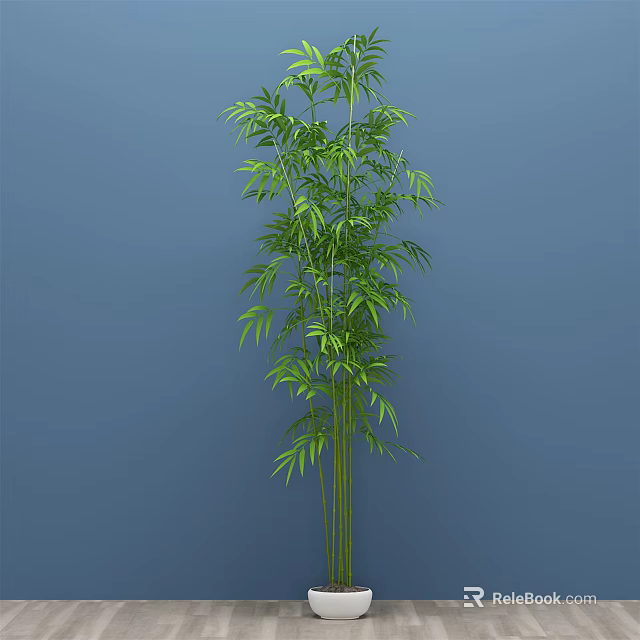 Tall Bamboo Plant With Green Leaves And Slender Stems On Blue Background 3d model 