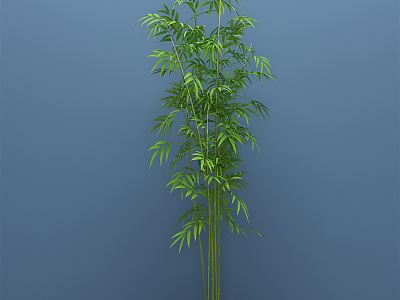 modern bamboo plant potted plant green plant model