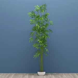 modern bamboo plant potted plant green plant 3d model