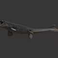 Prehistoric Aquatic Reptile With Long Snout Open Mouth And Textured Skin