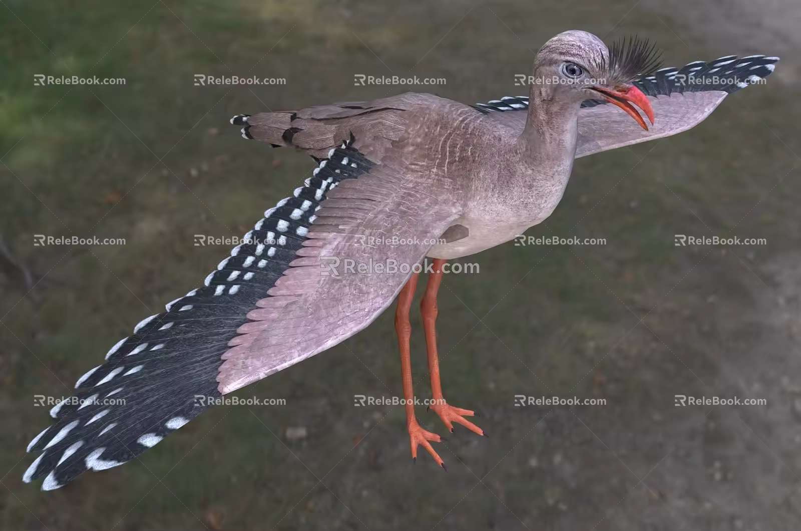 Red-legged Crane Cranes Cranidae Birds 3d model
