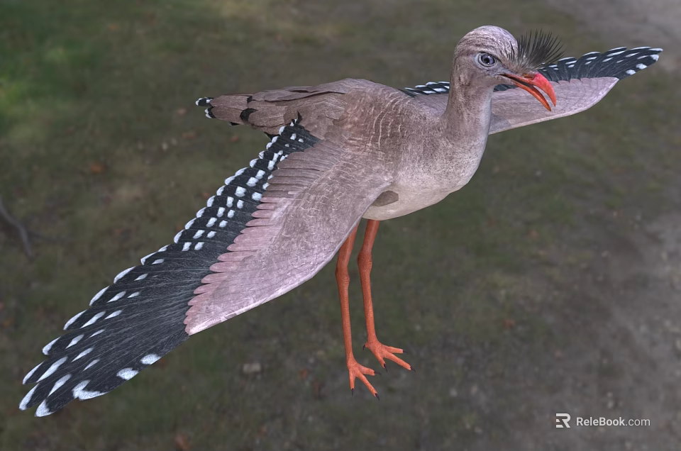 Brown Reptile With Spotted Wings And Orange Legs Spreading Wings On Grassland 3d model 