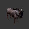 Realistic Wildebeest With Curved Horns Shaggy Mane And Textured Body