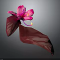 Vibrant Blooming Pink Flower With Red Leaves Against Dark Gray Background
