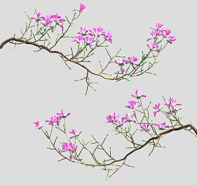 Blooming Pastel Pink Flowers On Delicate Branches For Natural Decor 3d model