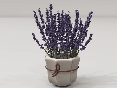 Modern Flower Pot Orchid 3d model