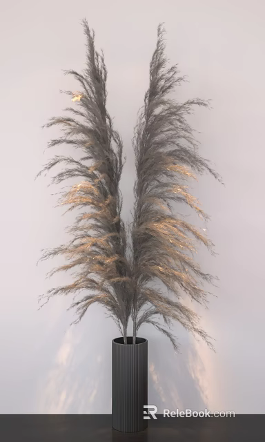 Natural Dried Pampas Grass Arrangement in Elegant Vase for Modern Home Decor 3d model 