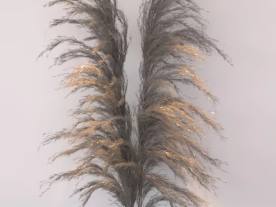 Natural Dried Pampas Grass Arrangement in Elegant Vase for Modern Home Decor 3d model