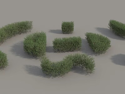 Various Shaped Green Shrubs For Garden Landscaping And Outdoor Decoration 3d model