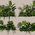 Lush Indoor Plant Combinations With Tropical Leaves Ferns And Hanging Vines