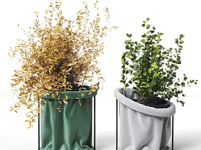 Golden And Green Leaf Potted Bonsai Plants In Green Gray Fabric Pots On Black Stands 3d model