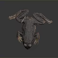 Brown Spotted Frog With Red Eyes And Textured Skin On Dark Background