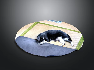 Tatami Mat With Black And White Cat Lying On Gray Cloth 3d model