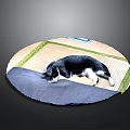 Tatami Mat With Black And White Cat Lying On Gray Cloth