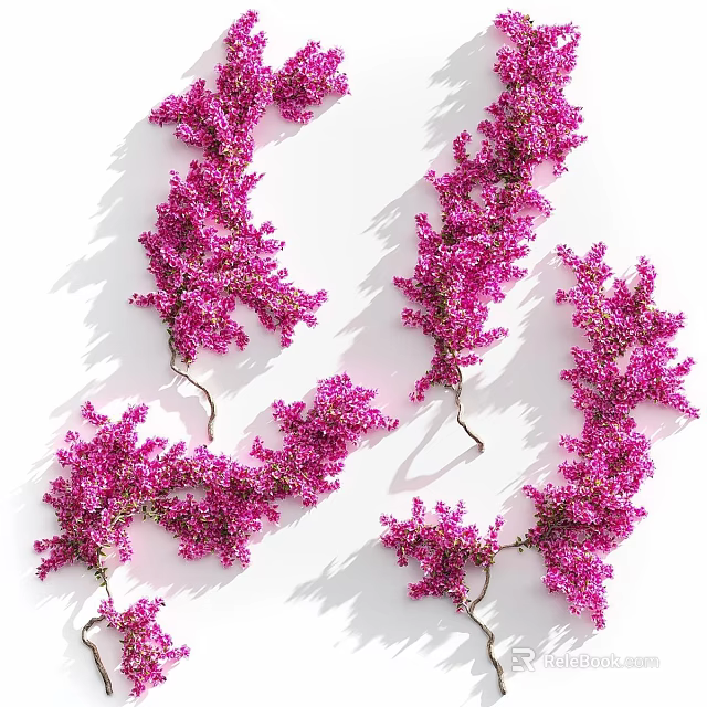 Pink Flowering Vine Branches Arranged On White Background With Soft Shadows 3d model 