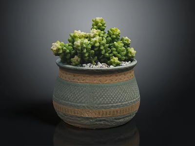 Succulent Plant with Green Leaves and White Flowers in Decorative Ceramic Pot with White Pebbles 3d model