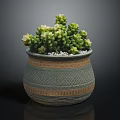Succulent Plant with Green Leaves and White Flowers in Decorative Ceramic Pot with White Pebbles