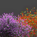 Vibrant Flowering Arbor Trees With Purple Red White And Pink Blooms