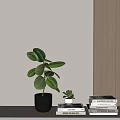 Home Interior Decorative Ornament Combination with Green Plants Black White Ceramic Pots and Stacked Books