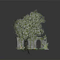 Natural Outdoor Garden Scene With Large Tree Stone Pillars Grass And Small Plants