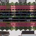 Urban Road Design With Multiple Lanes Vehicles Green Belts And Buildings