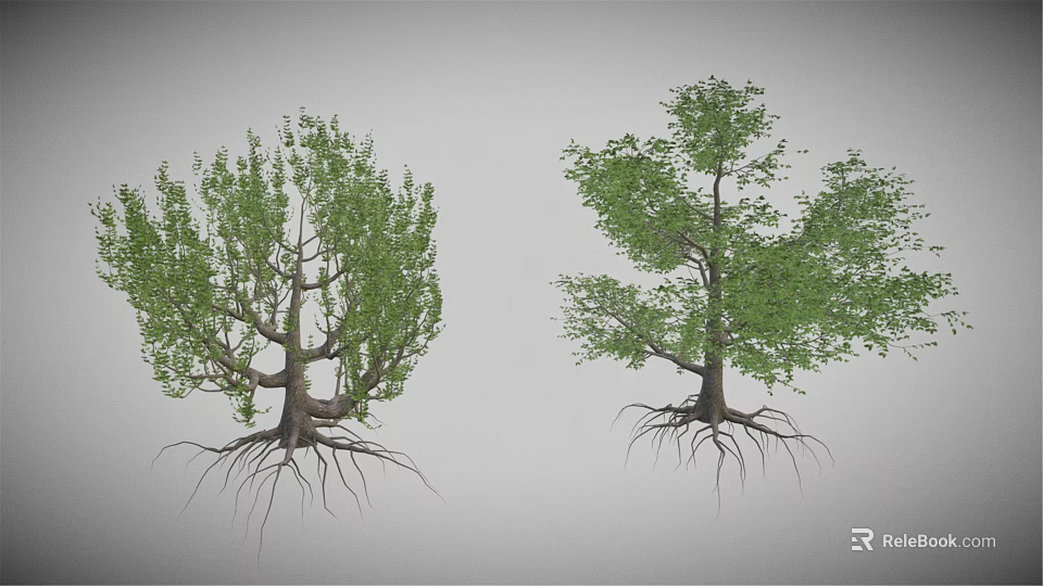 Cartoon Scene with Two Trees Green Leaves Visible Trunks and Exposed Roots on Gray Background 3d model 