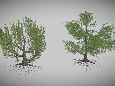 Cartoon Scene with Two Trees Green Leaves Visible Trunks and Exposed Roots on Gray Background 3d model