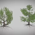 Cartoon Scene with Two Trees Green Leaves Visible Trunks and Exposed Roots on Gray Background