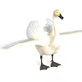 White Swan with Spread Wings Yellow Eyes Black Beak and Legs