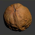 Fresh Orange Walnut With Textured Surface On Dark Background And Natural Reflection 3d model