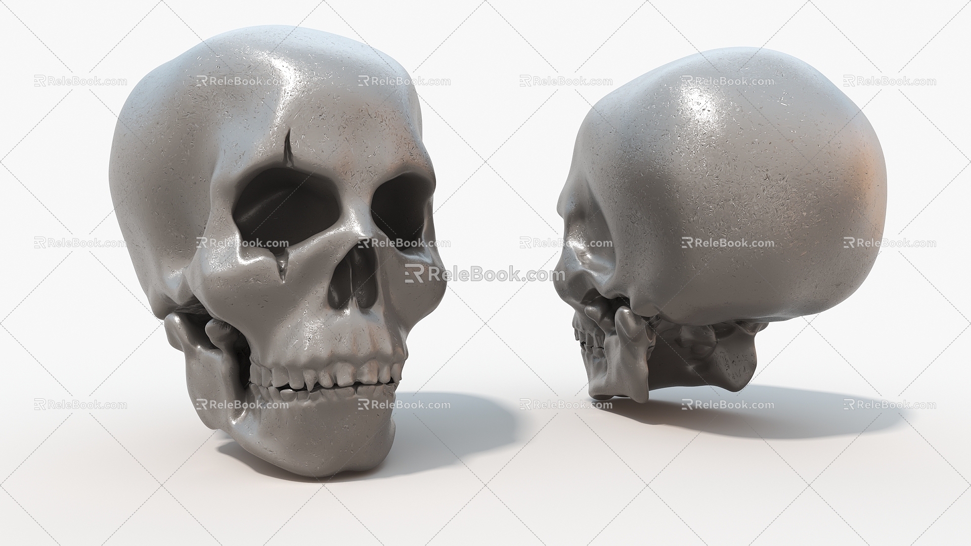 Skull Human Bone Virtual Toy Hard Surface 3d model