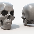 Skull Human Bone Virtual Toy Hard Surface 3d model