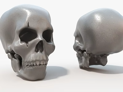Silver Skull Sculpture Artistic 3D Carved With Front And Side Detailed Views 3d model