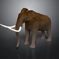 Realistic Woolly Mammoth 3D Model With Brown Fur Long White Tusks