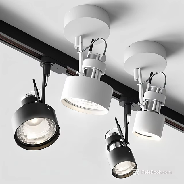 Modern Track Mounted Downlights And Spotlights In White And Black Finish 3d model 