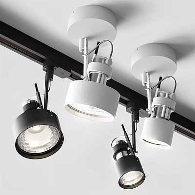 Modern Track Mounted Downlights And Spotlights In White And Black Finish 3d model