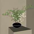 Floral Art Display With Green Branches White Flowers In Black Vase On Light Cube Stand