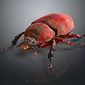 Red Beetle With Shiny Carapace And Long Legs On Dark Background 3d model
